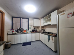 Haig Court (D15), Condominium #506990801